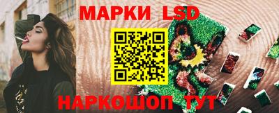 стафф Новокубанск