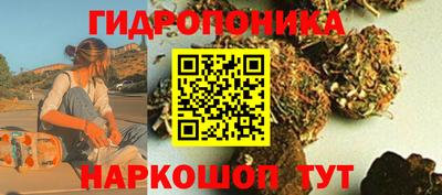 стафф Новокубанск