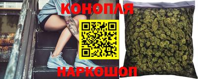 прущие крисы Новодвинск
